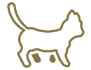 Icona banner gatto