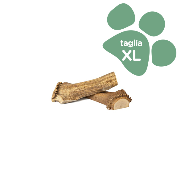 Foto principale Corno di Cervo Ammezzato Orazio Butcher BARF Extra Large Taglia XL 121-160gr