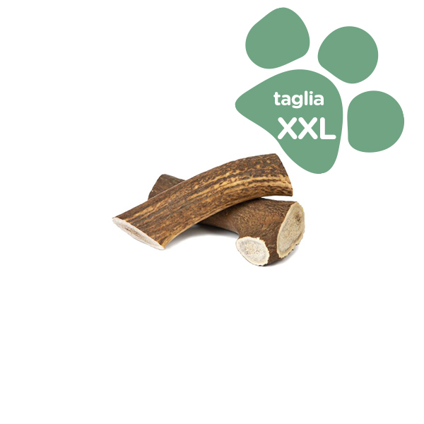 Foto principale Corno di Cervo Intero Orazio Butcher BARF Extra Extra Large Taglia XXL 221-270gr
