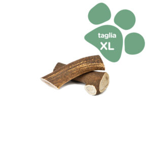 Foto principale Corno di Cervo Intero Orazio Butcher BARF Extra Large Taglia XL 151-220gr
