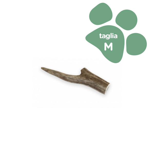Foto principale Corno di Cervo Intero Orazio Butcher BARF Medium Taglia M 50-75gr