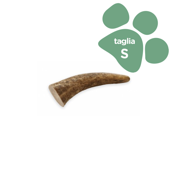 Foto principale Corno di Cervo Intero Orazio Butcher BARF Small Taglia S 50gr