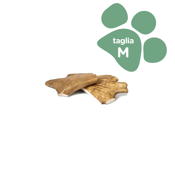 Foto principale Corno di Daino per Cani Orazio Butcher BARF Medium Taglia M 75-150gr