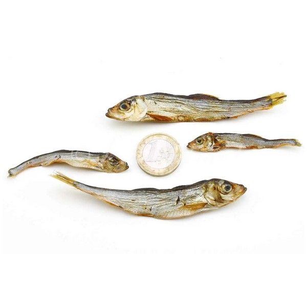 Foto principale Snack per Cani Gusto Pet Food Barf Gusto Pesce Essiccato 100gr