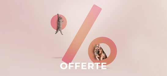Bottone Offerte