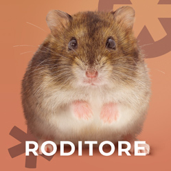Bottone Roditore