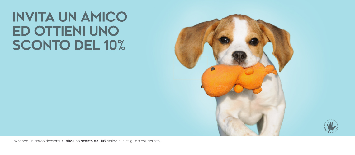invita un amico