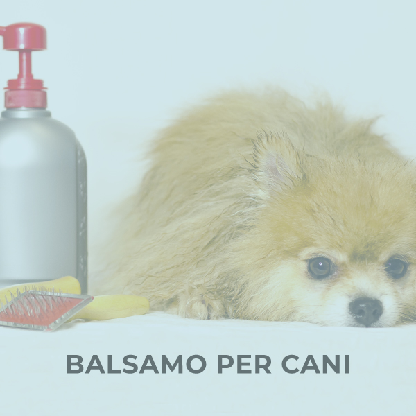Balsamo per cani