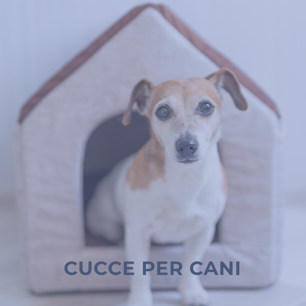 Cucce per cani