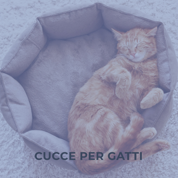 Cucce per gatti