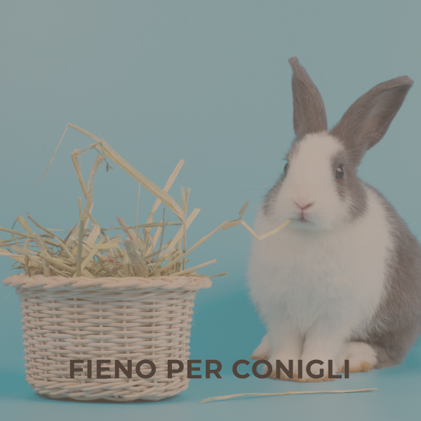 Fieno per conigli