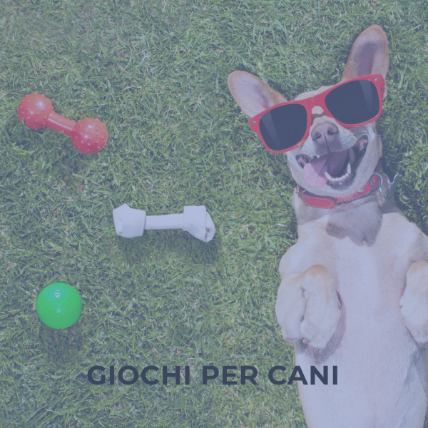 Giochi per cani