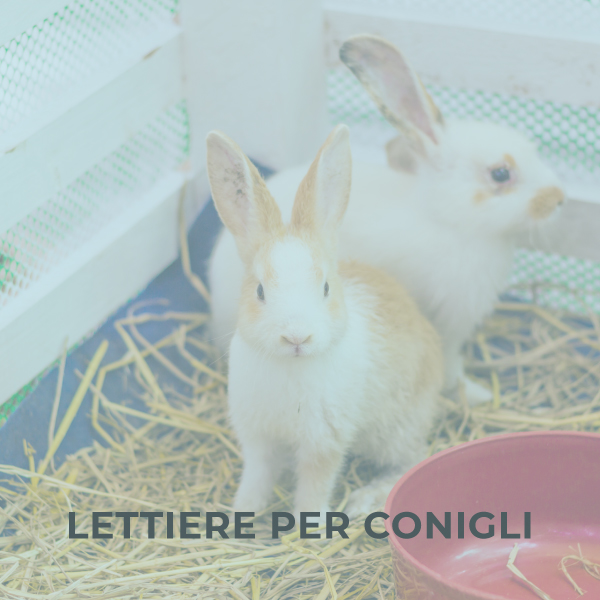 Lettiere per conigli