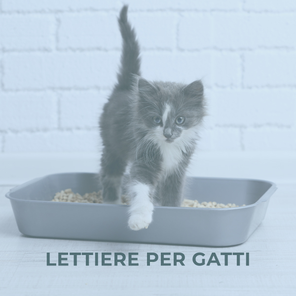 Lettiere per gatti