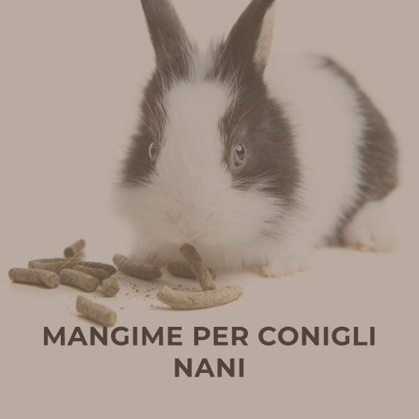 Mangime per conigli nani