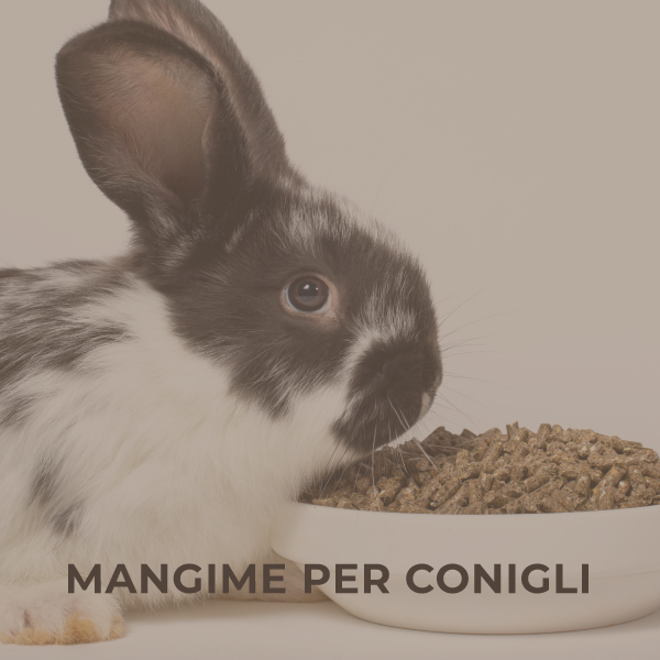 Mangime per conigli