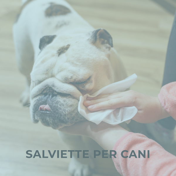 Salviette per cani