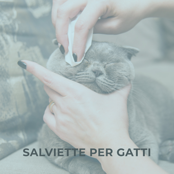 Salviette per gatti