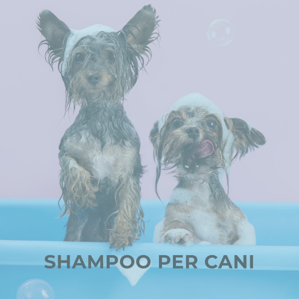 Shampoo per cani