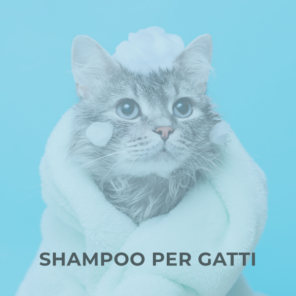 Shampoo per gatti