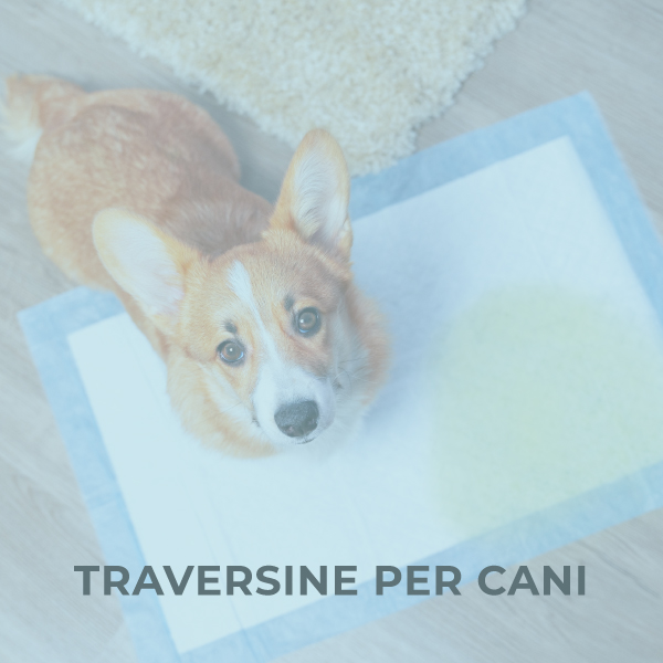 Traversine per cani