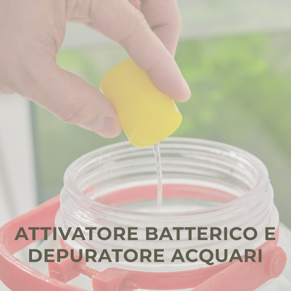 Attivatore batterico e depuratore acquari