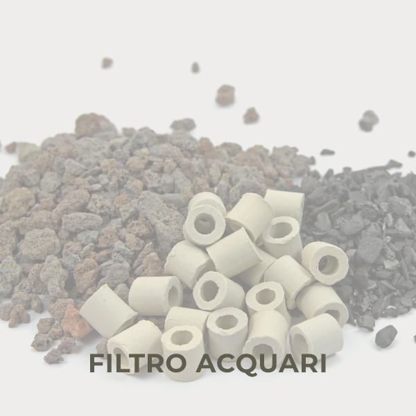 Filtro acquari
