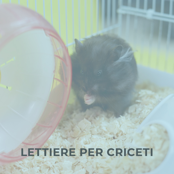 Lettiere per criceti