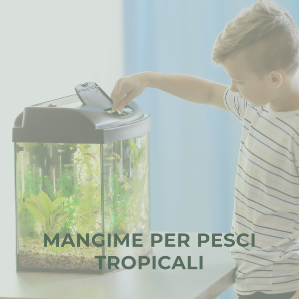 Mangime per pesci tropicali