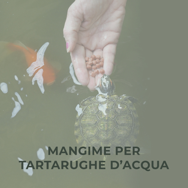 Mangime per tartarughe d'acqua