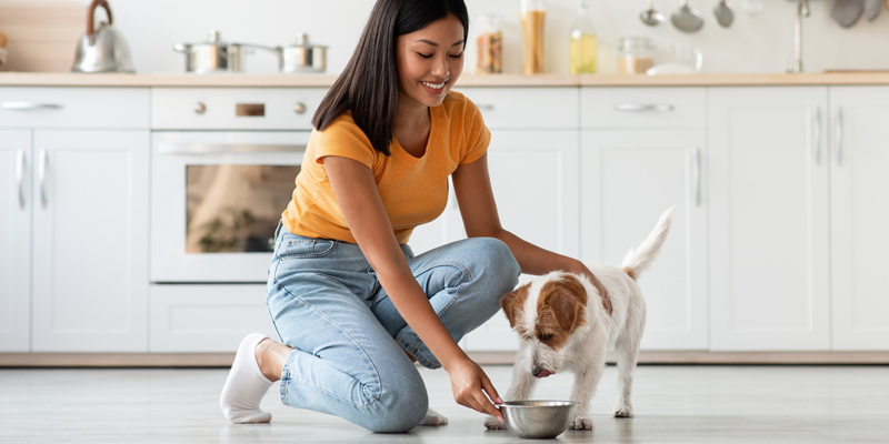 Cosa non possono mangiare i cani? Tutti gli alimenti vietati