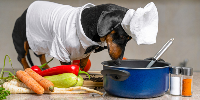 Quali verdure possono mangiare i cani? Le opzioni consentite e vietate