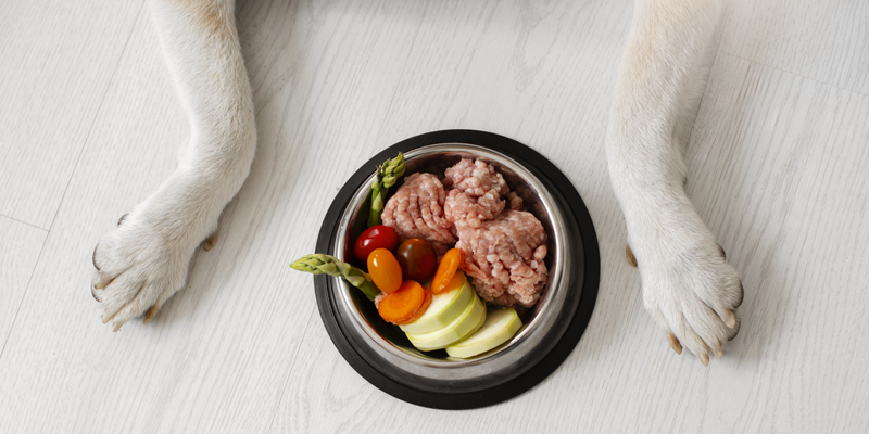 Cos'è la BARF dieta per cani e come funziona - 1