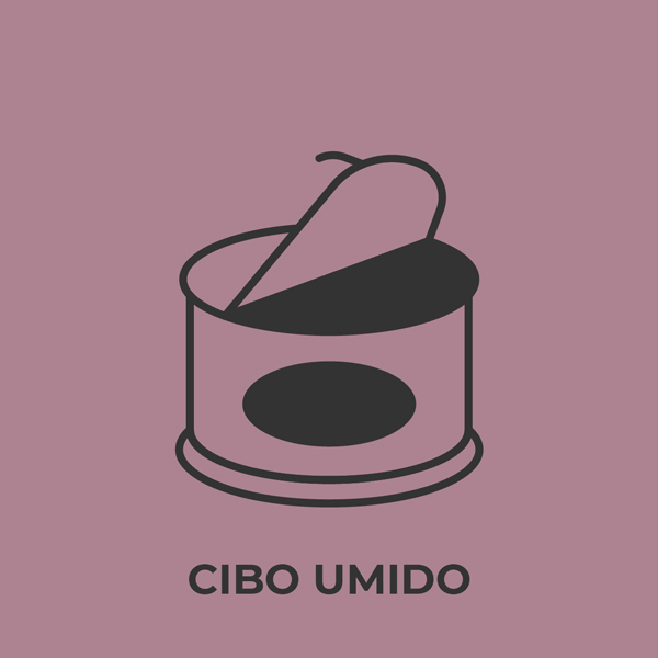 Cibo umido per cani