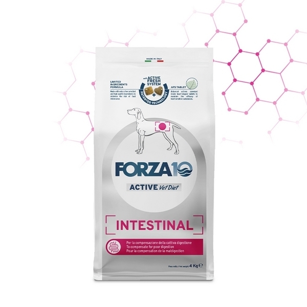 Foto principale Crocchette per Cani Adulti con Problemi Intestinali Forza10 Active Line Intestinal 4kg