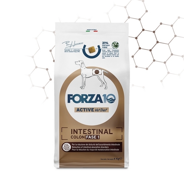 Foto principale Crocchette per Cani Adulti con Problemi Intestinali Forza10 Active Line Intestinal Colon Fase 1 4kg